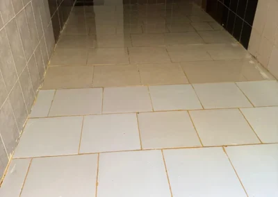 İstanbul su deposu temizliği ile bakterileri yok edin