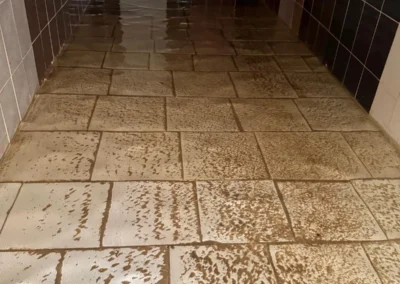 Su deposu temizliği ile suyunuzu hijyenik hale getirin